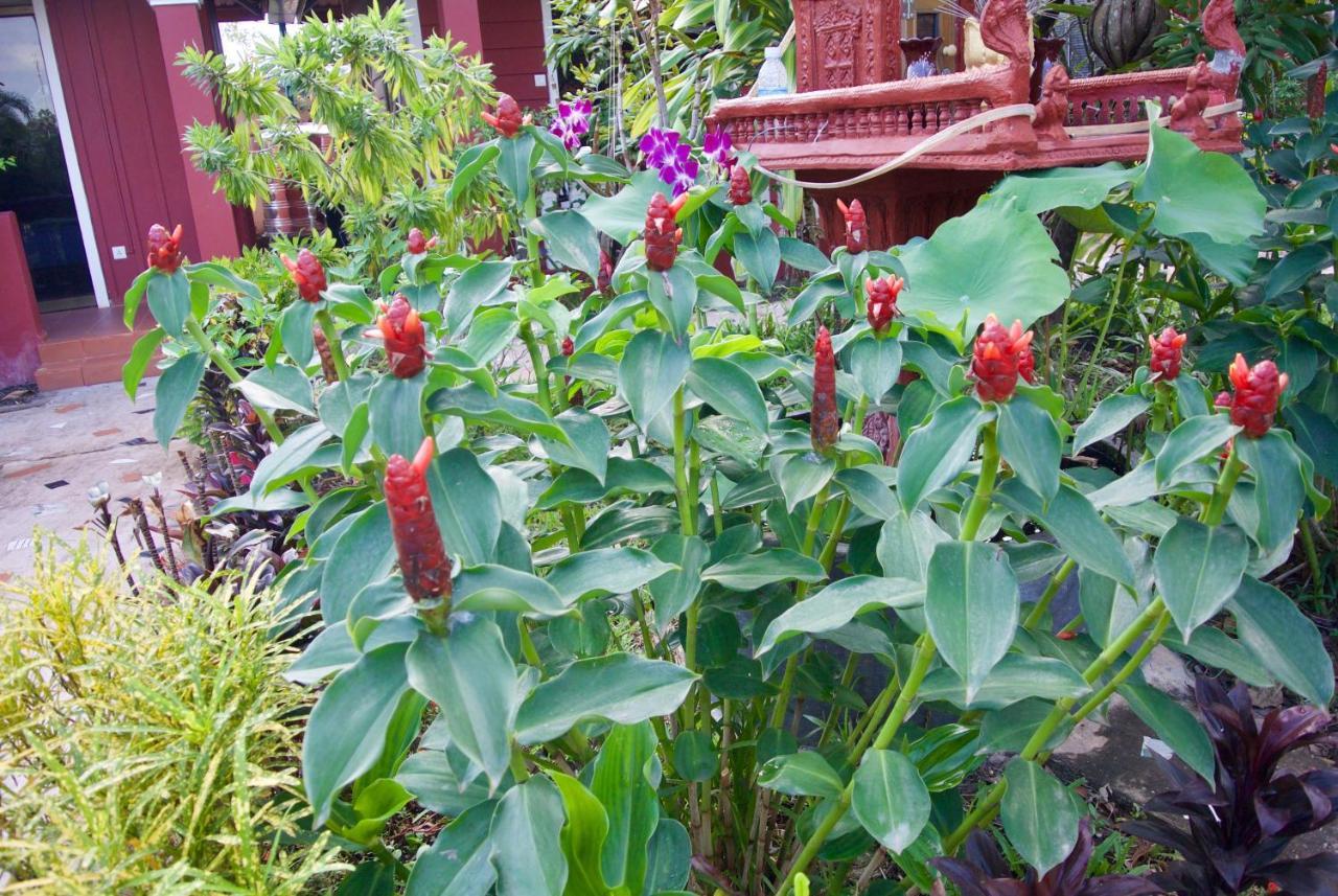 Phoumrumduol Bungalow Kampot Buitenkant foto
