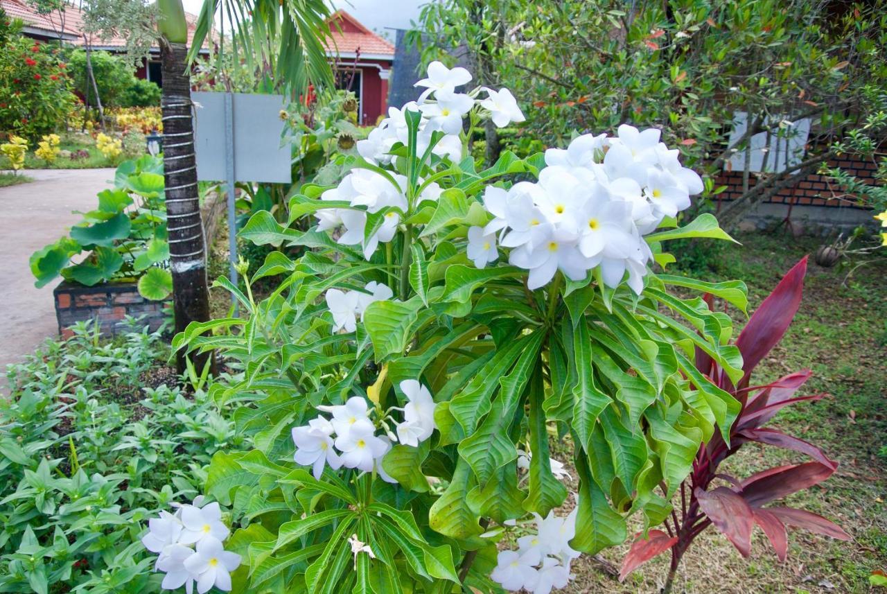 Phoumrumduol Bungalow Kampot Buitenkant foto